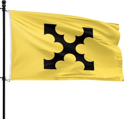 VlagDirect - Sliedrecht vlag - Gemeente Sliedrecht vlag - 90 x 150 cm.