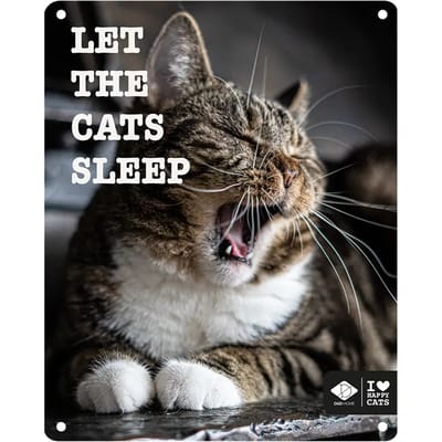 I Love Happy Cats - Anneleen Bru - I Love Happy Cats Bord 'let The Cats Sleep' 20x25cm Meerkleurig - 174205