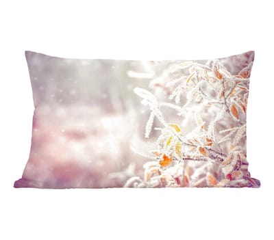 Sierkussens - Kussentjes Woonkamer - 50x30 cm - Winter - Takken - Sneeuw - Natuur - Kerstversiering - Kerstdecoratie voor binnen - Woonkamer