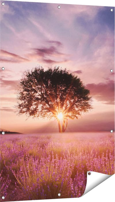 Gards Tuinposter Bloemenveld met Lavendel bij Zonsondergang - 80x120 cm - Tuindoek - Tuindecoratie - Wanddecoratie buiten - Tuinschilderij