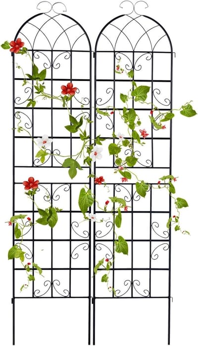 KOMFOTTEU Set van 2 tuinhekken voor klimplanten, gegalvaniseerd metalen hekwerk, decoratief voor planten, groenten, bloemen, wijnstokken (zwarte boog | 50 x 220 cm, 2)