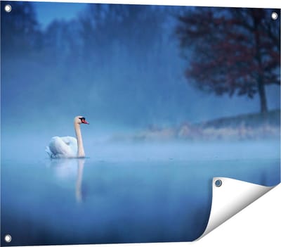 Gards Tuinposter Zwaan op het Water tussen de Mist - 80x60 cm - Tuindoek - Tuindecoratie - Wanddecoratie buiten - Tuinschilderij