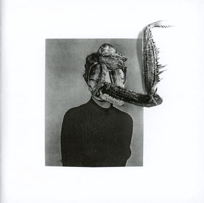 Mantiis - An Agony In Fourteen Bites