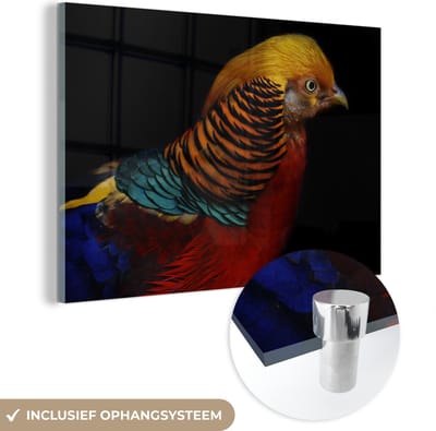 MuchoWow® Glasschilderij 120x80 cm - Schilderij acrylglas - Vogel - Veren - Zwart - Portret - Foto op glas - Schilderijen