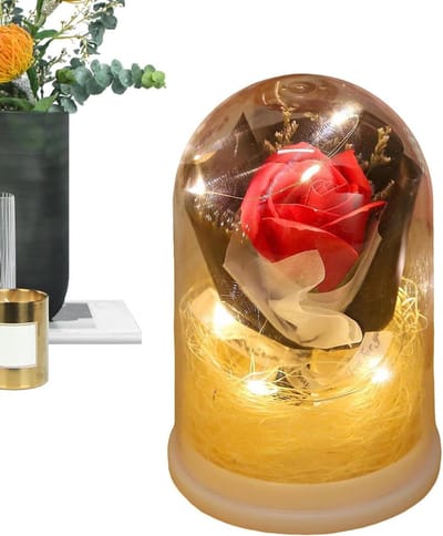 Eeuwige Bloemen - Gedroogde Rozen - Huis Decoratie - Met LED Licht - 15 x 10.5 cm - Rood