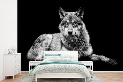 Behang - Fotobehang Wilde dieren - Wolf - Zwart - Wit - Breedte 390 cm x hoogte 260 cm