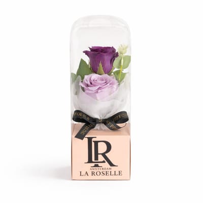 Cadeau met Giftbox – 2 kunstbloemen paarse rozen in cadeauverpakking
