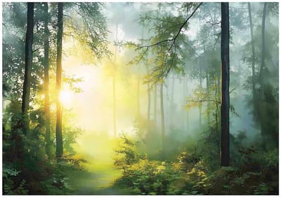 WALLARENA - Fotobehang - 150x105 cm - 3D bos landschap met bomen en zon, natuur voor slaapkamer en woonkamer