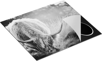 Chefcare Inductie Beschermer Schotse Hooglander Koe graast Gras - Zwart Wit - 60x50 cm - Afdekplaat Inductie - Kookplaat Beschermer - Inductie Mat