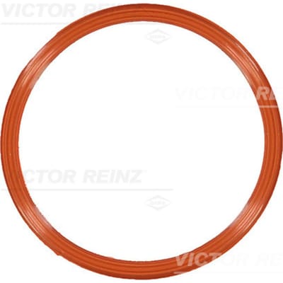 Victor Reinz Pakking, inlaatspruitstuk  REINZ 71-10829-00