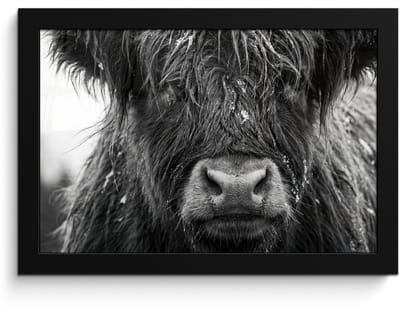 Poster in lijst - Fotolijst 30x20 cm - Posters - Schotse hooglander - Zwart - Wit - Sneeuwvlokken - Posterlijst zwart - Decoratie - Wanddecoratie woonkamer - Muurdecoratie slaapkamer