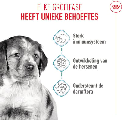 Royal Canin - Hondenvoer Droog Medium Puppy - 1 kg