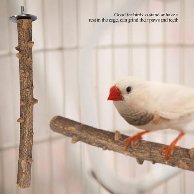 Support Perroquet en Bois Naturel Support Perchoir à Griffer Jouet à Mâcher pour Oiseau à Suspendre Cage(3*35cm) white