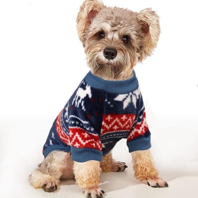 Fleece hondentrui voor kleine honden, etnische stijl winterkleding, ultra zachte thermische trui voor puppies, maat XL, blauw