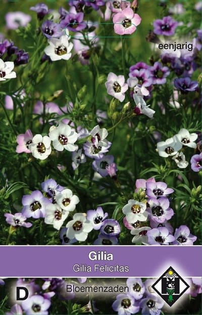 2 stuks Van Hemert & Co Gilia tricolor Felicitas