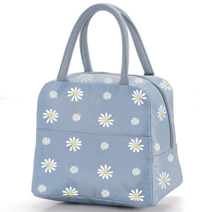Lunchtas - Geïsoleerde draagtas - Lunchbox - Herbruikbare koeltas - Waterdichte en lekvrije lunchtas - Waterdichte lunchhouder - Geschikt voor vrouwen, mannen, studenten en kinderen - 22*15*20cm