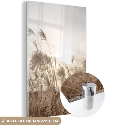 MuchoWow® Glasschilderij 40x60 cm - Schilderij acrylglas - Riet - Stilleven - Lucht - Foto op glas - Schilderijen