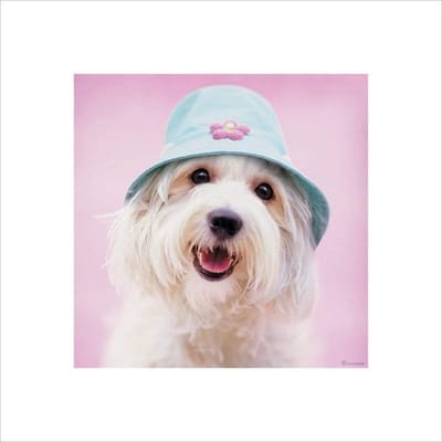 Pyramid Poster - Rachael Hale Cindy - 40 X 40 Cm - Multicolor
