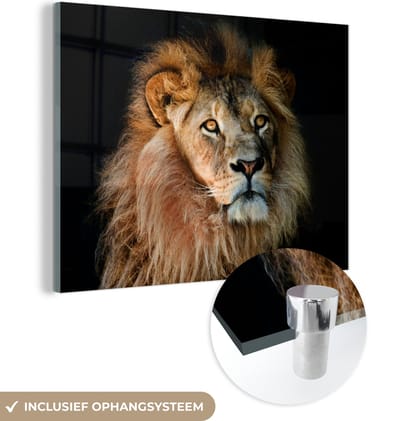 MuchoWow® Glasschilderij 40x30 cm - Schilderij acrylglas - Leeuwen - Profiel - Zwart - Foto op glas - Schilderijen