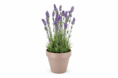 SILK LAVENDER PURPLE POT TERRA L 32X32X53CM