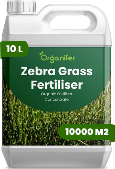 Vloeibare Meststof Voor Zebra Grass - 10 L Voor 10000 M2 - Npk 2-1-8 - Ondersteunt Sterke - Rechtopstaande Stengels - Versterkt Wortelstelsels Voor Langdurige Stabiliteit - Geschikt Voor Aanplant In Tuin - Landschap En Siergrasbeplanting - Organifer
