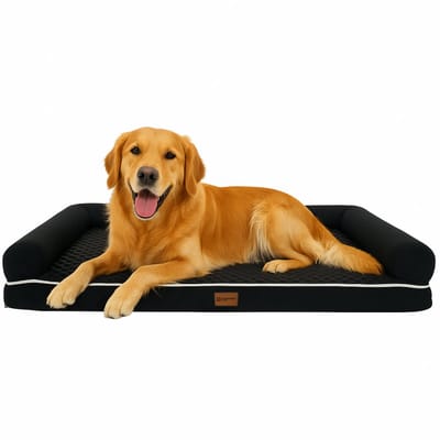 Dastium Pets - XXL Zwarte Orthopedische Hondenmand - Wasbaar Hondenbed met uitneembare kussens - Zacht Hondenkussen Met Randen - Orthopedisch Hondenkussen - 112CM X 88CM