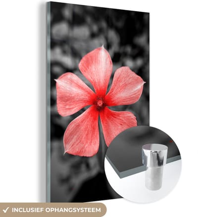 MuchoWow® Glasschilderij 40x60 cm - Schilderij acrylglas - Bloemen - Rood - Zwart - Wit - Foto op glas - Schilderijen