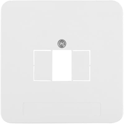 Afdekplaat ST PW – Voor TAE/USB aansluiting, Polarwit