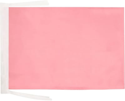 Roze Vlag 18x12 inch - 100% Polyester - Duurzaam en Kleurecht - Perfect voor Evenementen