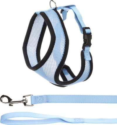 Kattentuigje - kattenharnas - M - Harms Blauw - kattenharnas met looplijn en ademende mesh - 120 cm