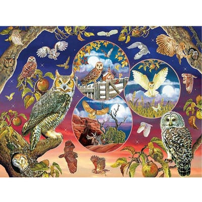 DIY volledige ronde boor diamant schilderij dier uil 5d diamant borduurwerk uil landschap 20X30CM gray
