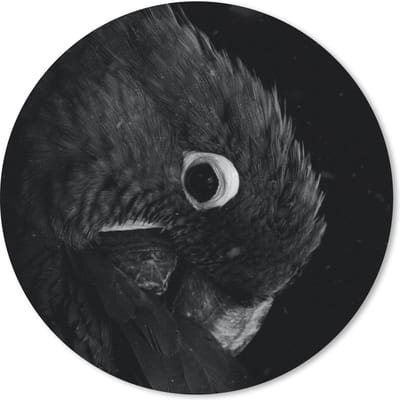 Muismat rond 20x20 cm - Mousepad Close-up van een gouden papegaai op een zwarte achtergrond - zwart wit - Ronde muismatten