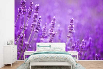 Behang - Fotobehang Lavendel - Close-up - Bloemen - Paars - Breedte 600 cm x hoogte 400 cm