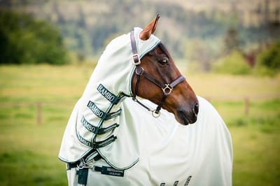 Horseware Eczeemdeken Rambo Sweet Itch Hoody Full Neck Lichtgroen - 145/198