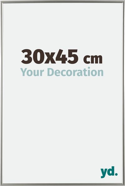 Your Decoration - Fotolijst 30x45 cm - Kunststof - Champagne - Evry