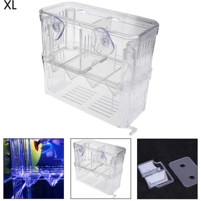 Aquarium d'élevage de poissons en acrylique Double couche Suspendu Alevins Incubateur Filet Poisson
