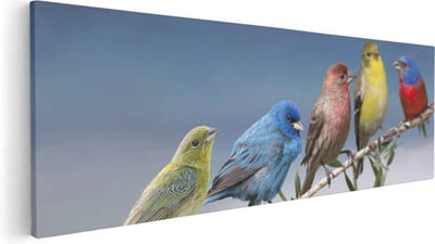 Artaza Canvas Schilderij Kleurrijke Vogels - 60x20 cm - Wanddecoratie Natuur - Muurdecoratie Vogels Op Tak - Kamer Accessoires