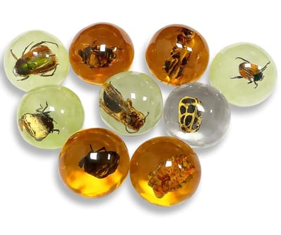 Set van 9 Amber Insectenfossielen, Diverse Insectmonsters, Harsbehoud van Insecten, Educatieve en Wetenschappelijke Collecties voor Onderwijs en Onderzoek
