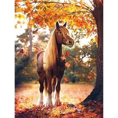 Diy 5d Diamond schilderij verf door Bengal Black Horse Home Decor 20X30CM orange