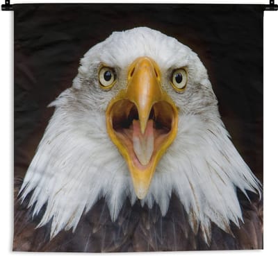 Wandkleed Amerikaanse zeearend - Een vooraanzicht van een Amerikaanse zeearend Wandkleed katoen 150x112 cm - Wandtapijt met foto