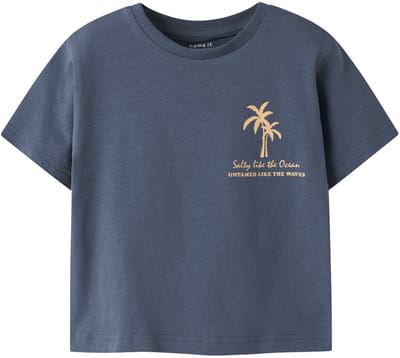 NAME IT MINI - NMMFLOM SS NREG TOP Jongens T-Shirt