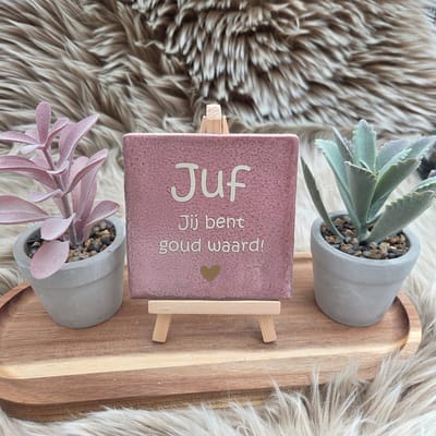 Robuust Wenstegeltje Juf jij bent goud waard! – Cadeau Juffendag – Afscheid Juf – Bedankje – Trendy – Woondecoratie – Cadeautje – Decoratief Tegeltje met Standaard – Cadeau Idee