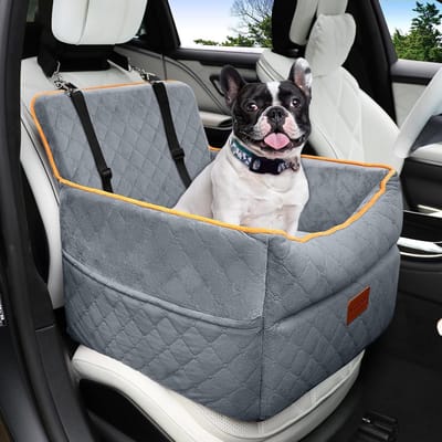 Autostoel voor kleine honden met traagschuim, afneembaar en wasbaar, veilig en comfortabel voor reizen