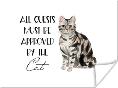 Poster Katten - Quotes - Spreuken - All guests must be approved by the cat - 160x120 cm XXL