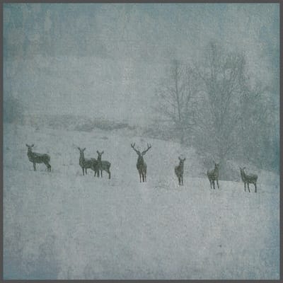 Rauhnacht - Winterstille (LP)