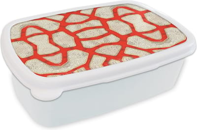 Broodtrommel Wit - Lunchbox - Brooddoos - Koraal - Rood - Wit - Design - 18x12x6 cm - Volwassenen