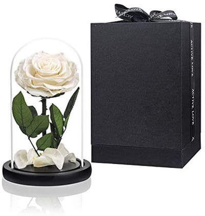 Witte rozen in glazen koepel - Echte rozen geschenken voor Valentijnsdag, Moederdag, Verjaardag en Kerstmis