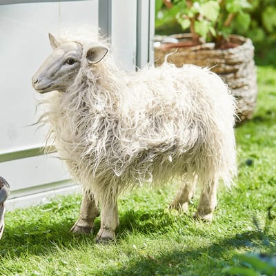 LOBERON Decoratief schaap Justin beige