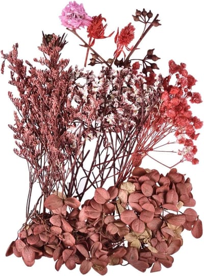 Gedroogde Bloemen - Bloemblaadjes Decoratie - Hobby Knutselen - Natuurlijke Kleuren - 1 Doos - Meerkleurig