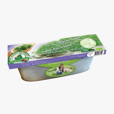 Zinken Teil Tuinkers Cresso BIO - Moestuin - Biologische-Ecologische zaden - Biologische-Ecologische bollen - (Ook)-Voor in huis